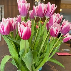 Meet your Posher, Tatiana